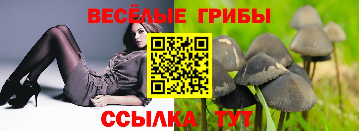 Псилоцибиновые грибы мицелий  Псилоцибиновые грибы Cubensis  Кохма  Вход с VPN 